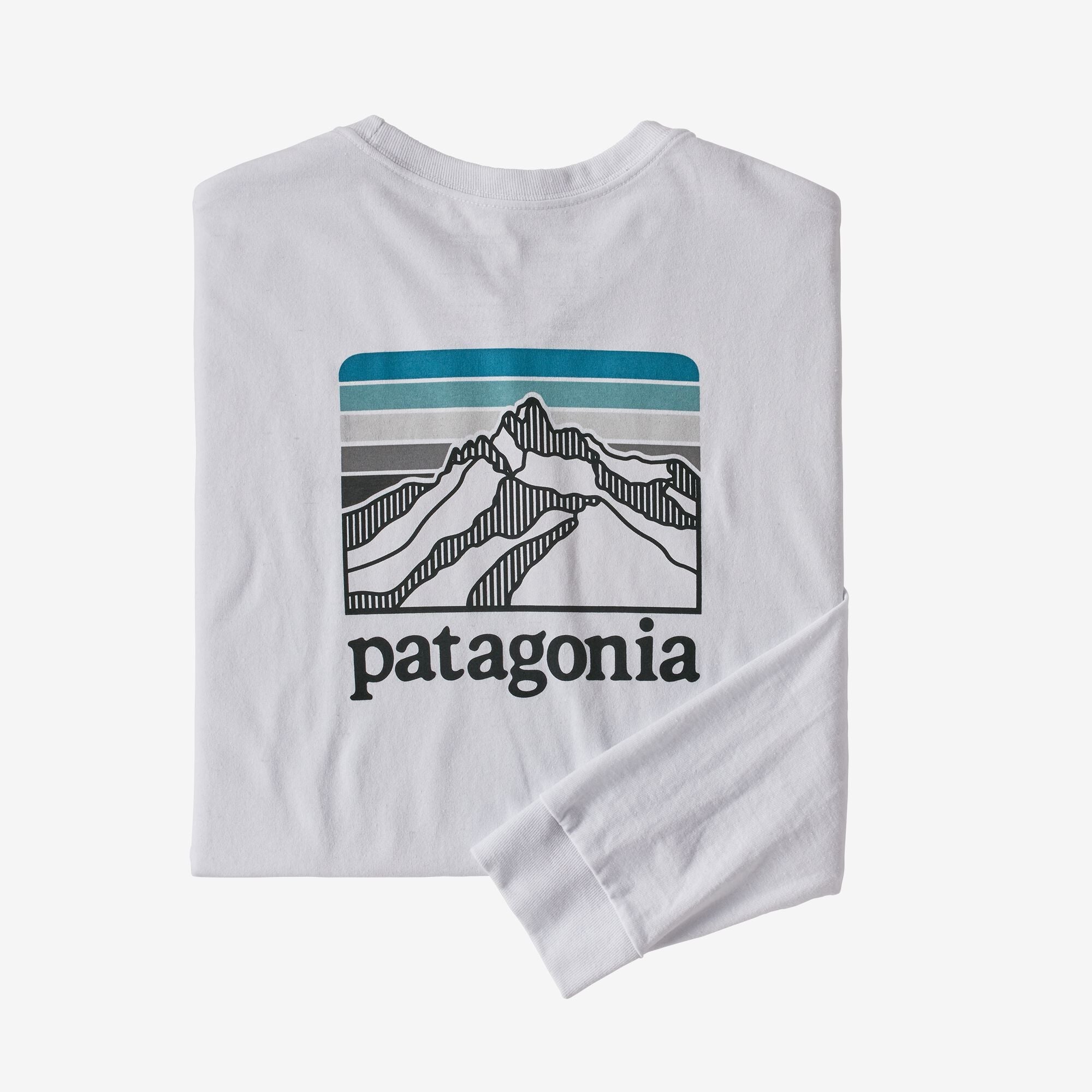 Patagonia line store logo ridge