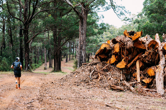 After running past, taking shelter in and leaning on these slow breathing giants, the sawn and stripped logs just don’t have the same warmth or glory they once did. Today’s victory will be in logs conserved not cleared. Photo: Cam Suttie