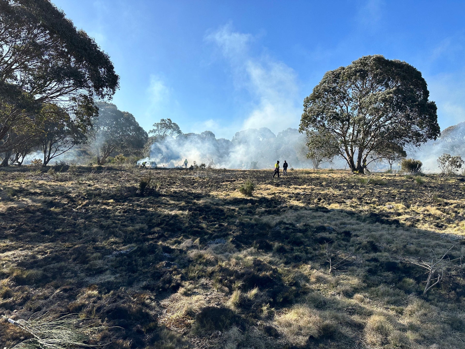 BARRINGTON TOPS CULTURAL BURN: “FIRE WALKS ACROSS BIYAN BIYAN, ORCHID COME UP”