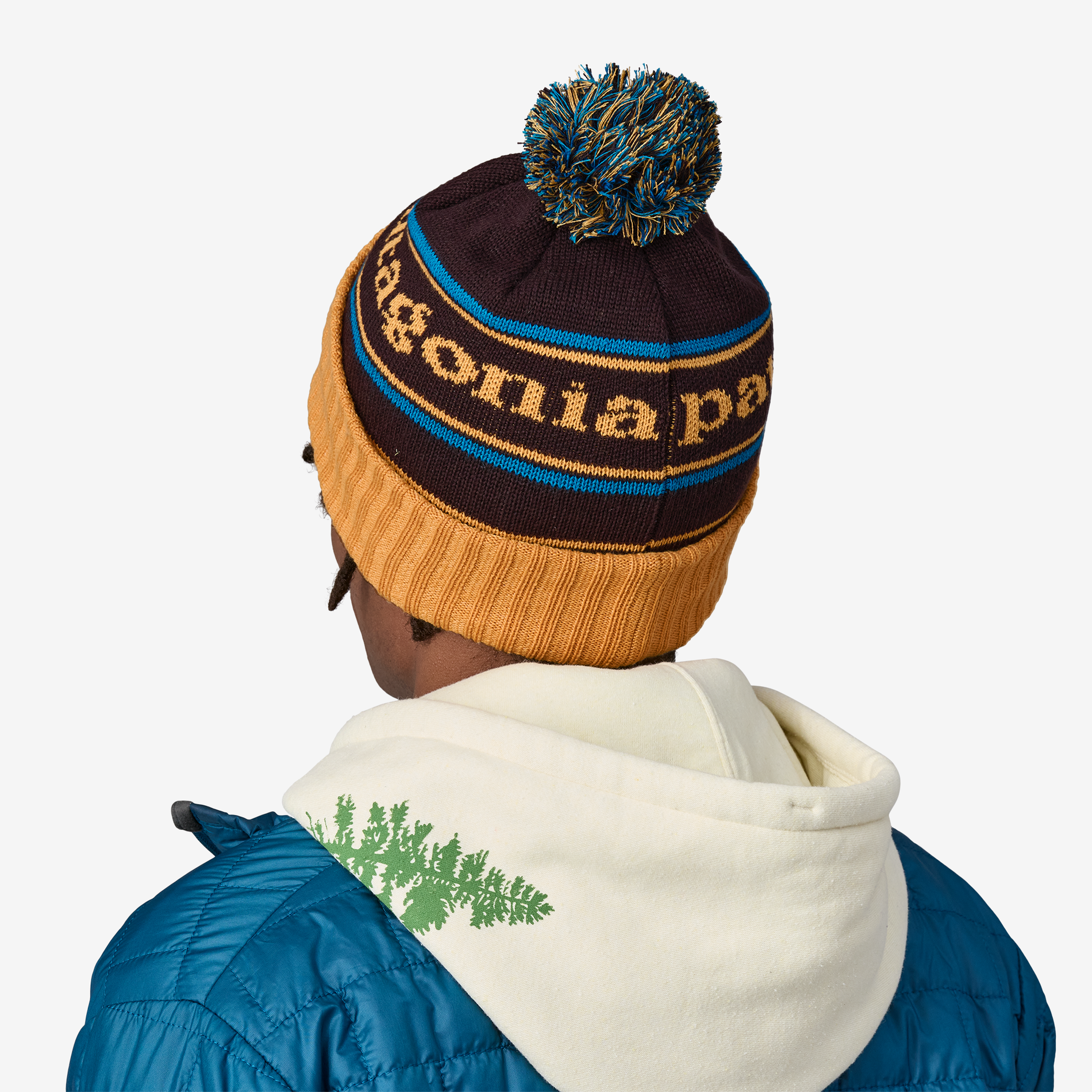 Patagonia 2025 powder beanie